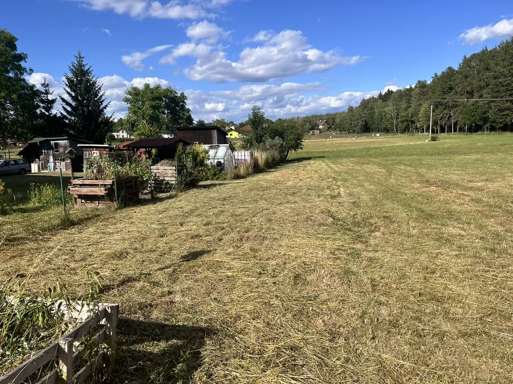 Po – Přerostlý pozemek → kompletně zmulčovaný pozemek