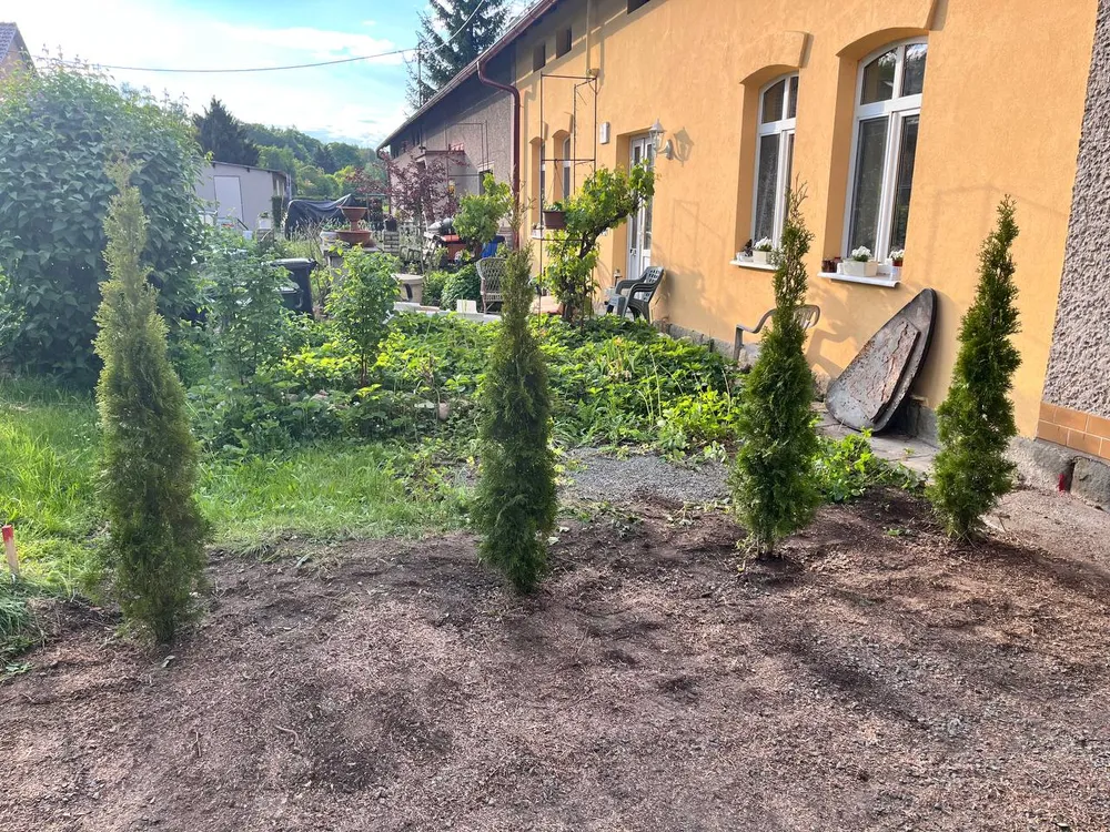 Po – Odstranění starých keřů a výsadba nových tújí