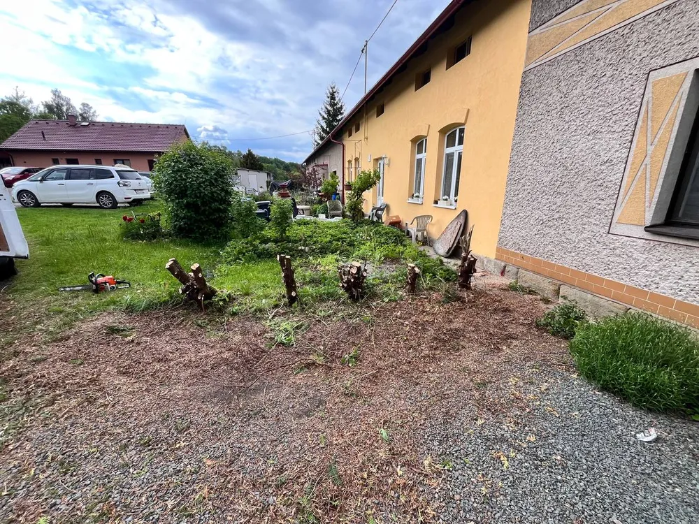 Před – Odstranění starých keřů a výsadba nových tújí