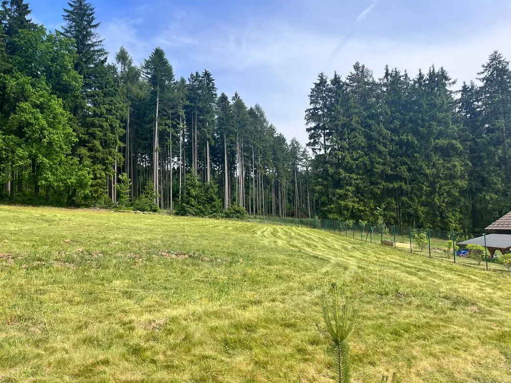 Po – Hrubé sekání stavební parcely