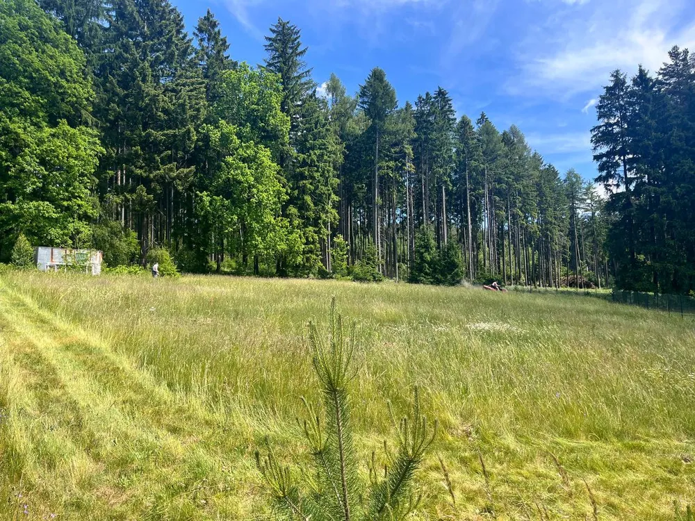 Před – Hrubé sekání stavební parcely