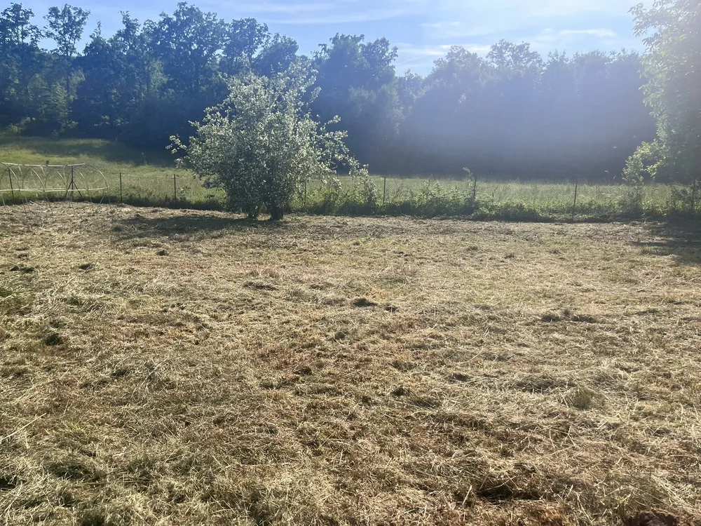 Po – Expresní obnova přerostlého pozemku 2 000 m²