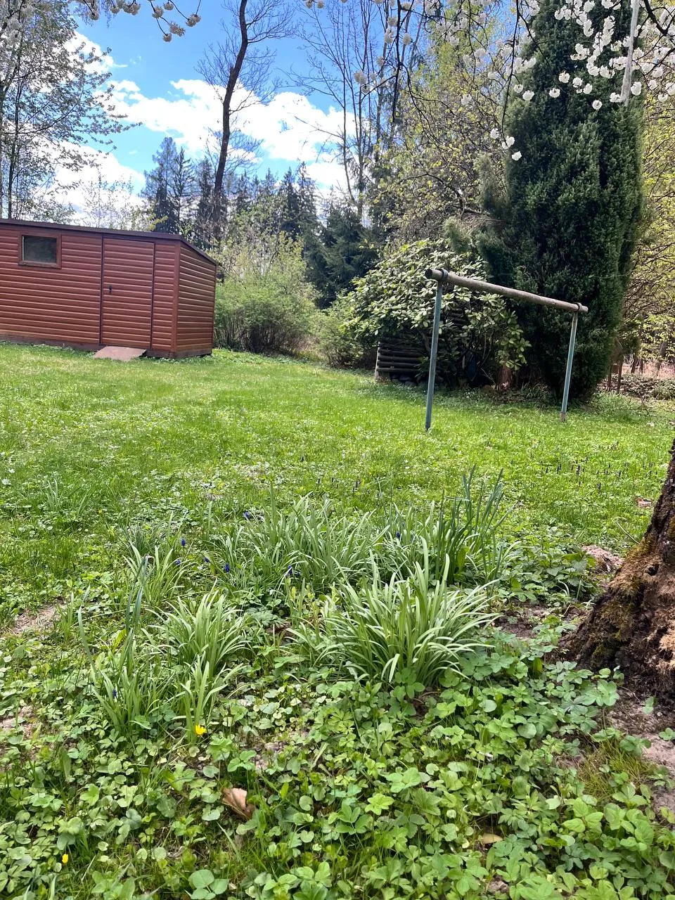 Před – Pravidelné sekání zahrady